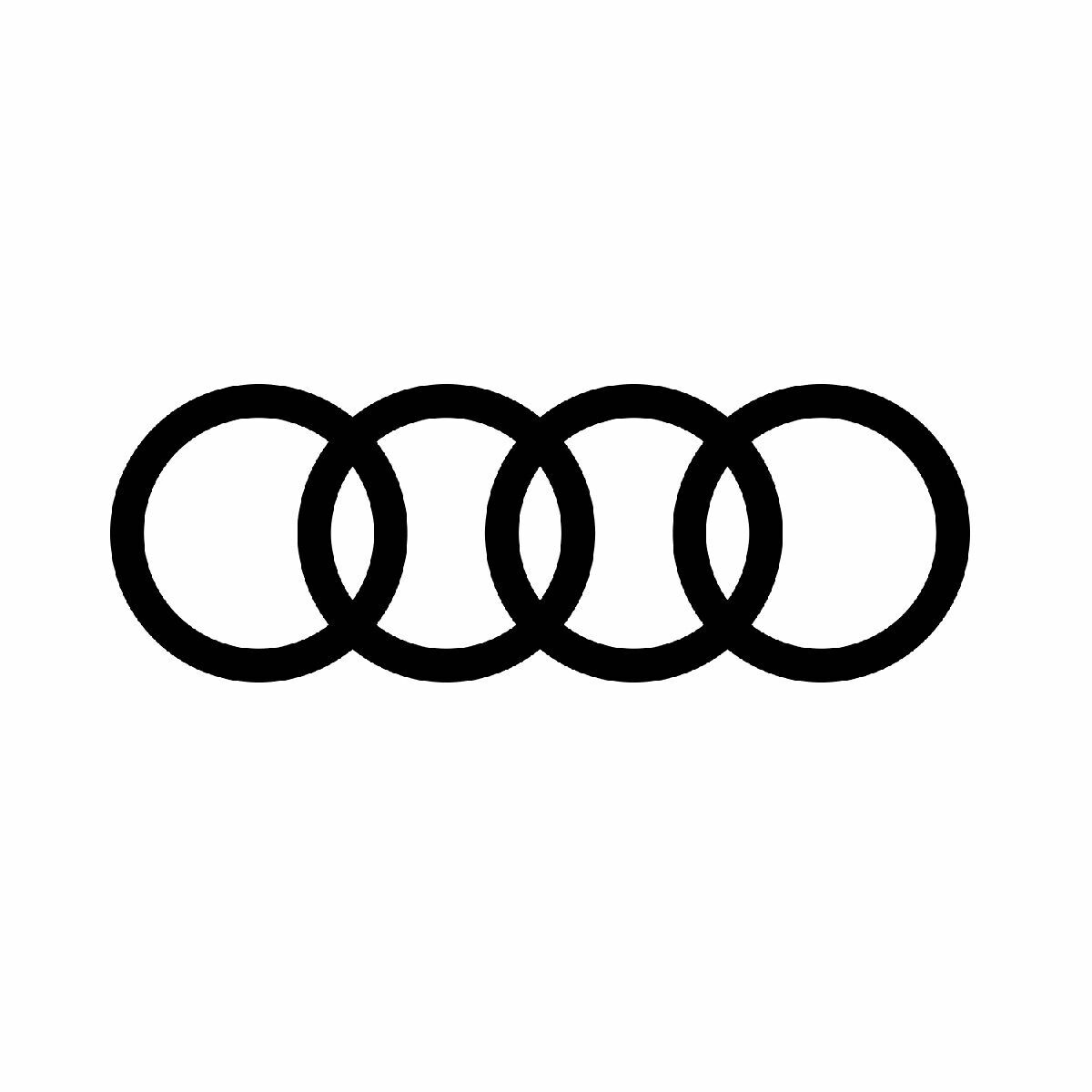 AUDI BRAKES