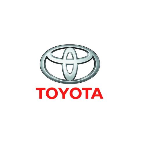 TOYOTA INDUCTION & FILTERS
