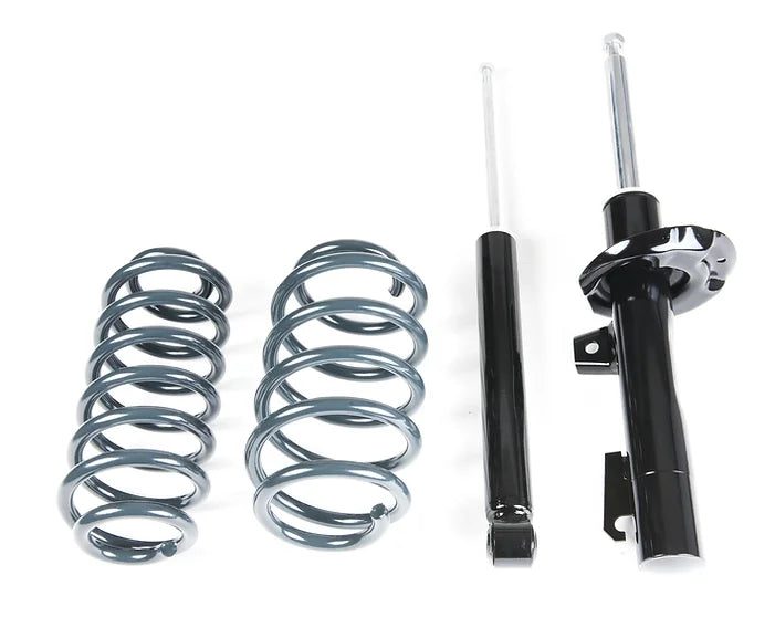 RACINGLINE VWR SPORT SUSPENSION KIT