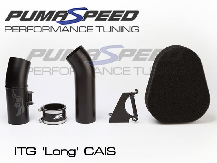 PUMASPEED ITG MAXOGEN PRO (CAIS) INTAKE FIESTA MK7 ST180