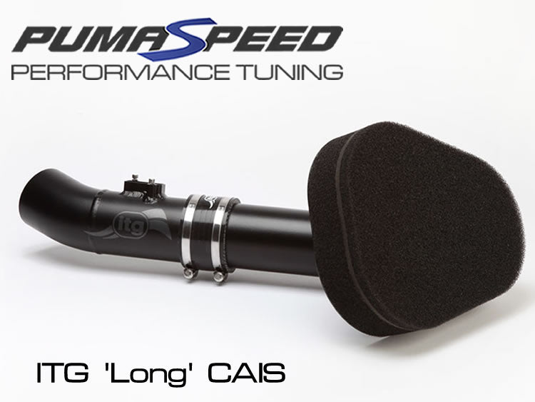 PUMASPEED ITG MAXOGEN PRO (CAIS) INTAKE FIESTA MK7 ST180