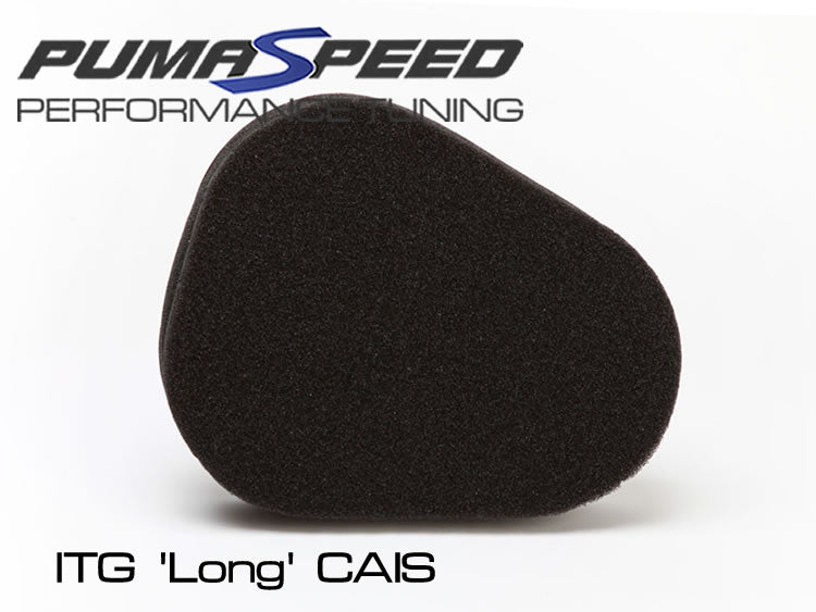 PUMASPEED ITG MAXOGEN PRO (CAIS) INTAKE FIESTA MK7 ST180