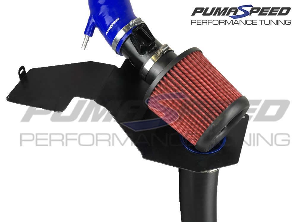 PUMASPEED RACING GEMINI V3 INDUCTION KIT FIESTA MK7 ST180