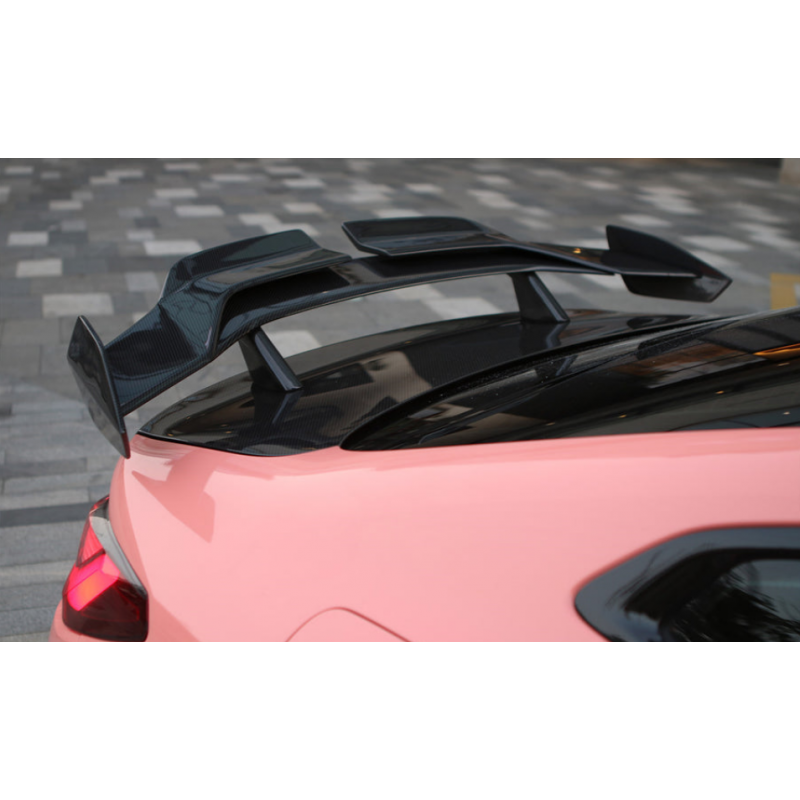 DW pro style carbon fiber GT wing