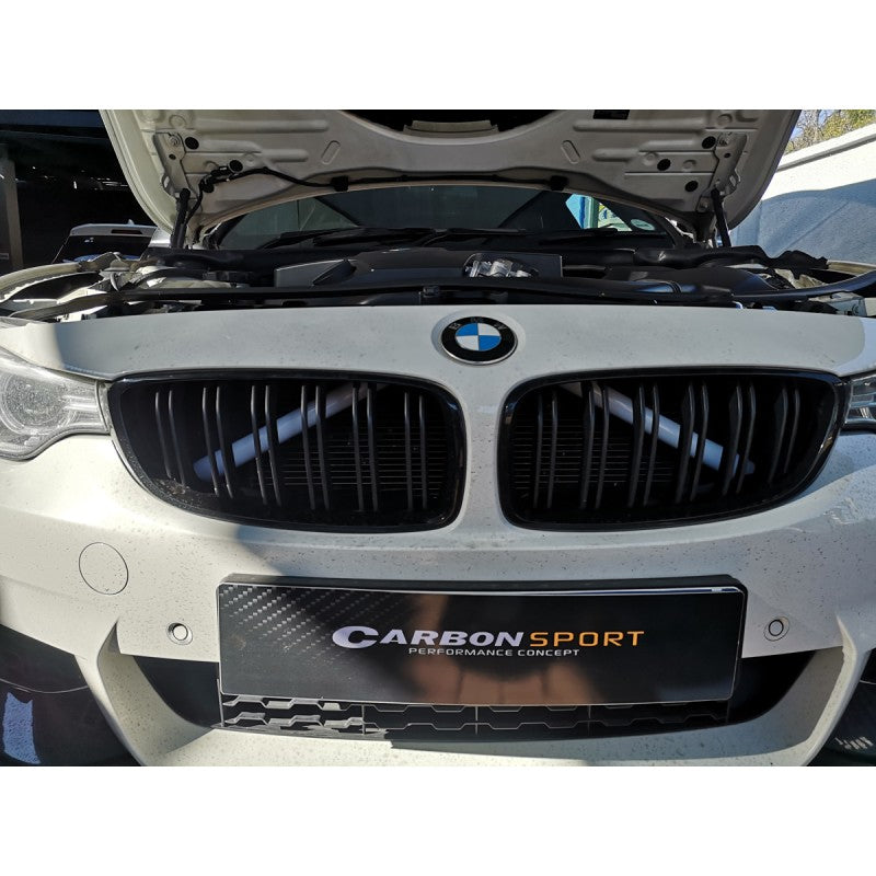 F-series V-Bar grille cover (White)