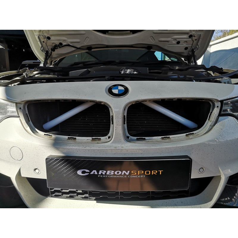 F-series V-Bar grille cover (White)