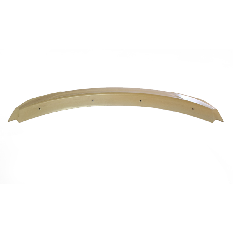 Mustang 15+ boot spoiler (ABS)
