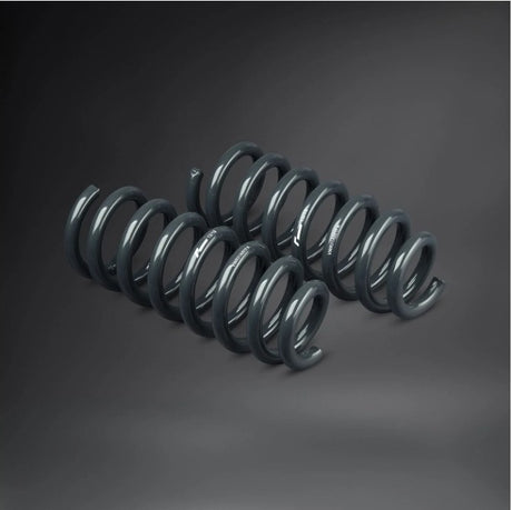 Racingline Sport Spring kit Amarok 2018 – VWR31A001 – supplier image