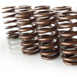 Bar-Tek 2.0TSI EA888 Gen2 & Gen3 sport valve spring set MQB - 21tf242