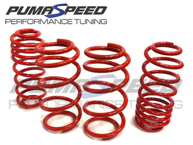 PUMASPEED STANCE LOWERING SPRINGS MK7 FIESTA