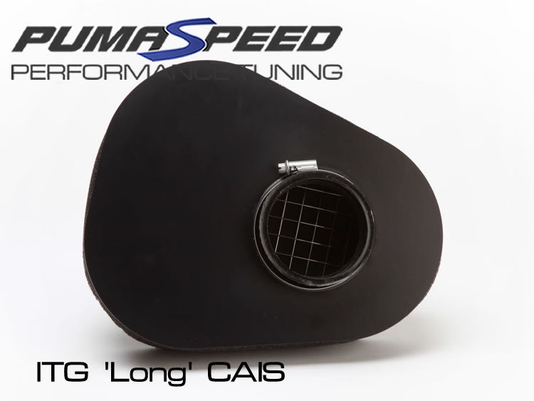 PUMASPEED ITG MAXOGEN PRO (CAIS) INTAKE FIESTA MK7 ST180