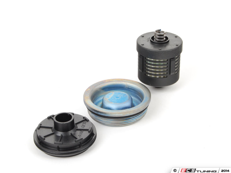 Borg Warner GenII Haldex Filter - T120456