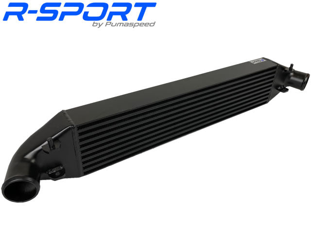 PUMASPEED R-SPORT STAGE 2 INTERCOOLER FIESTA MK7 ST180