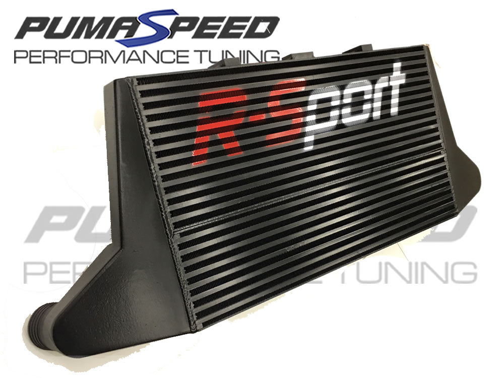 PUMASPEED R-SPORT PRO 450 INTERCOOLER FIESTA MK7 ST180