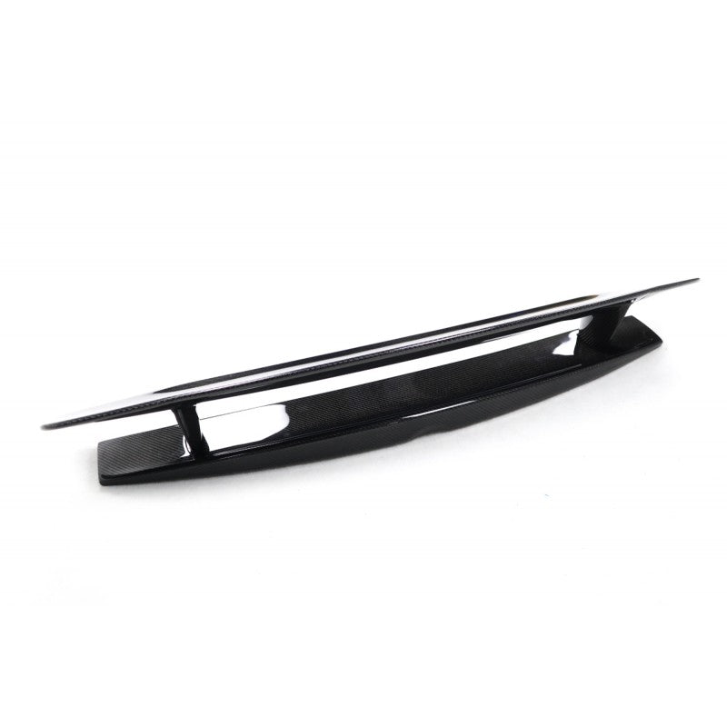 AMG GT edition 1 carbon fiber wing