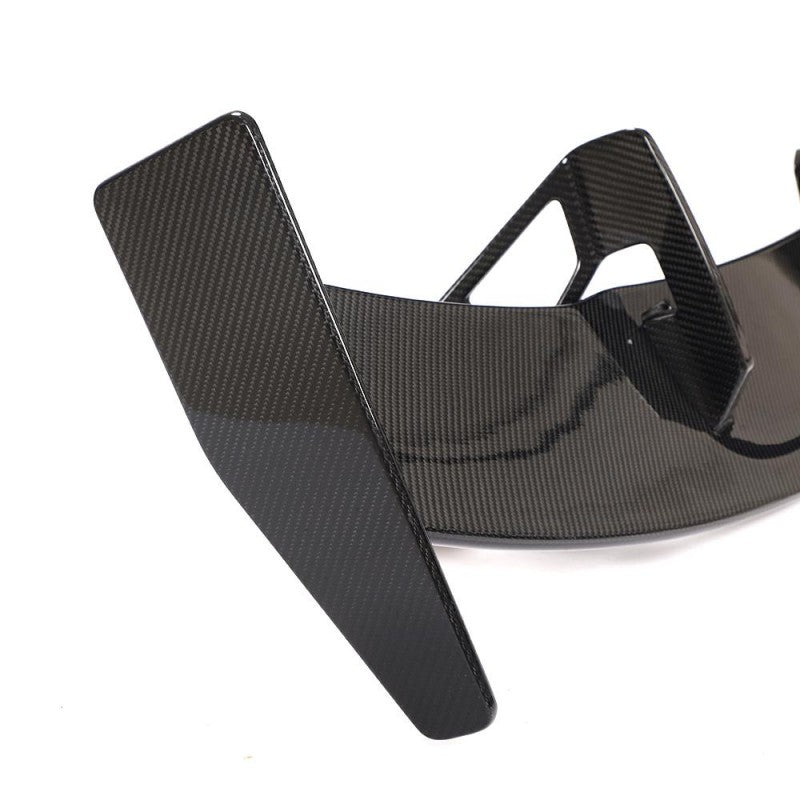 TT RS 15-20 carbon fiber wing