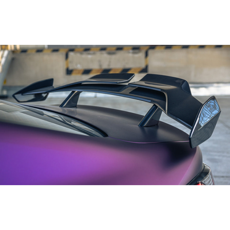 DW pro style carbon fiber GT wing