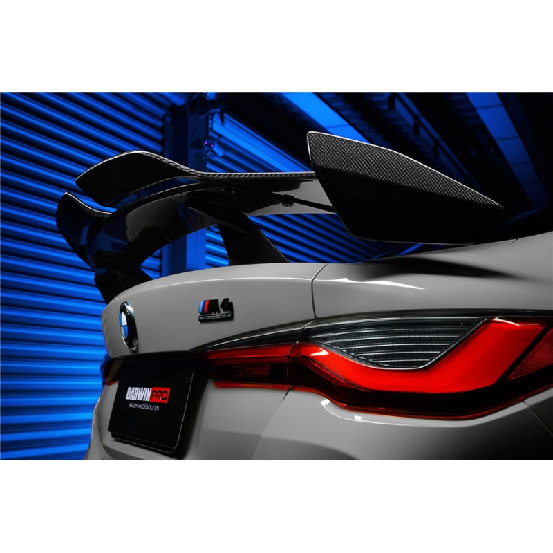 DW pro style carbon fiber GT wing
