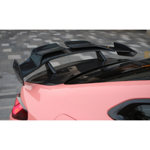 DW pro style carbon fiber GT wing