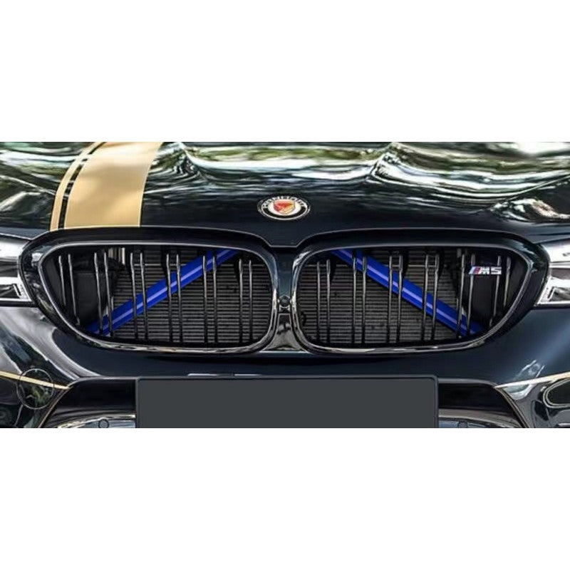 F-Series V-bar grille cover (BLUE)