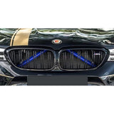 F-Series V-bar grille cover (BLUE)