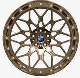 VFC PERFROMANCE – F1XS