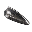 Forged Carbon fiber antenna cover F22 F30 F34 F32 F33 F36 F80 F82 F87