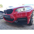 F22 Mtech MP style 2pcs front splitter