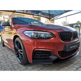 F22 Mtech MP style front lip (PP)