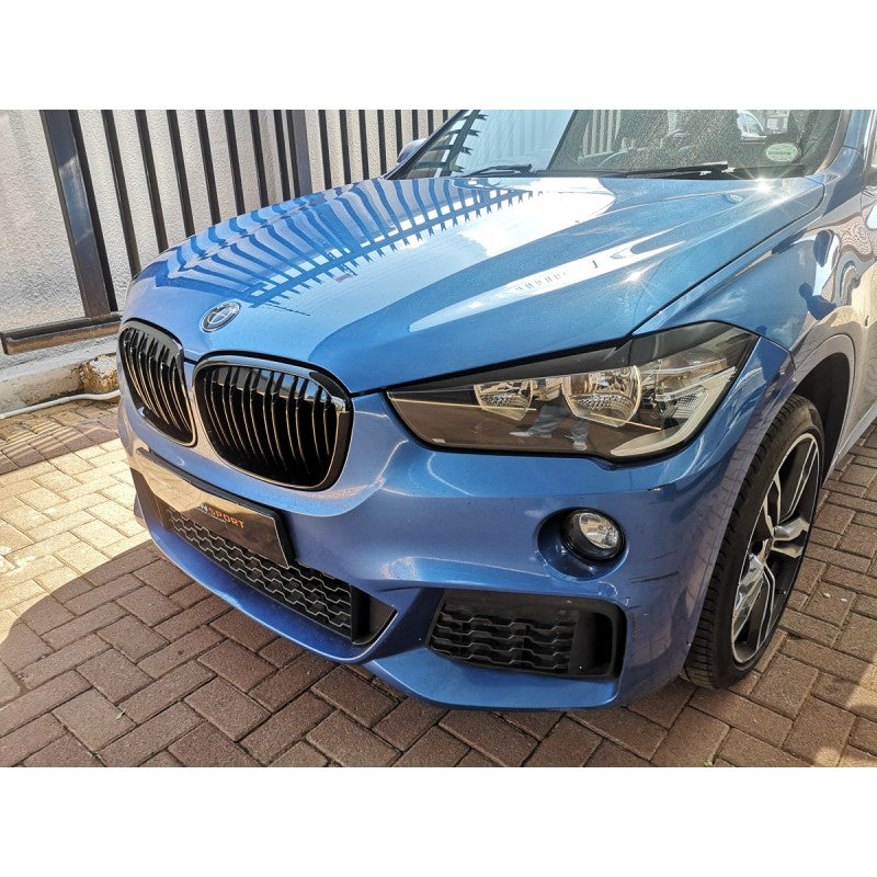 F48 X1 15-19 kidney grille
