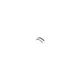 Guilia non sport 15-20 carbon fiber front canards