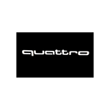 Quattro welcome door light (upgrade glass lens)