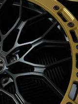 VFC PERFROMANCE – F1XS