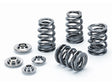Supertech Valve Spring kit for Audi 8V2 RS3 / 8S TTRS