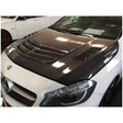 W176 carbon fiber bonnet