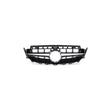W213 17-19 AMG grille